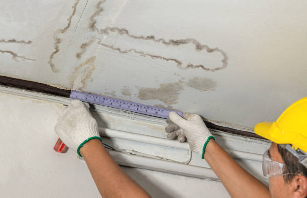 Reliable Burst Pipe Cleanup contractor in Lovettsville, VA by Water Damage Irwin